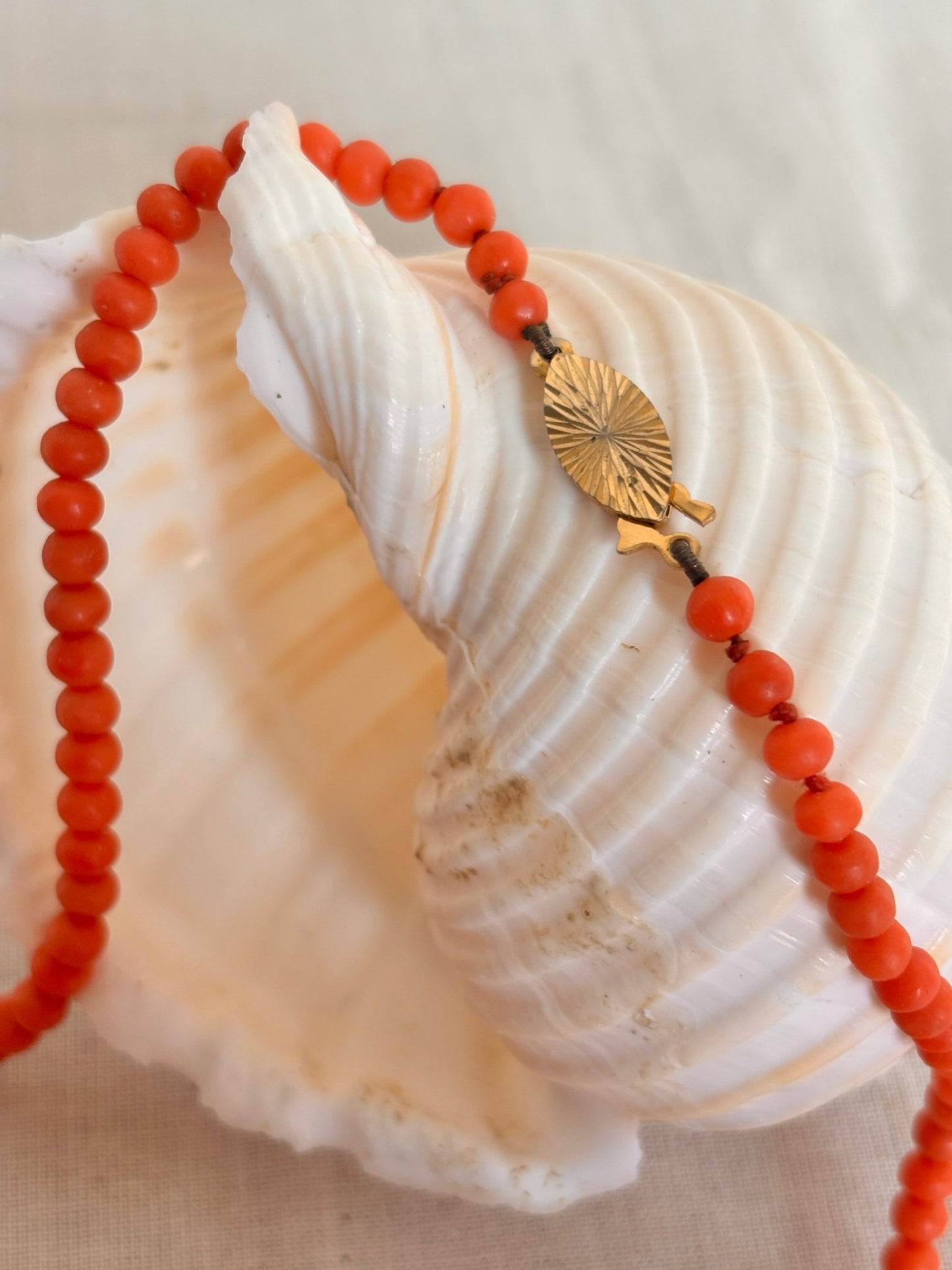 Antique Coral Bead Necklace & Bracelet Set - I'd Wear That