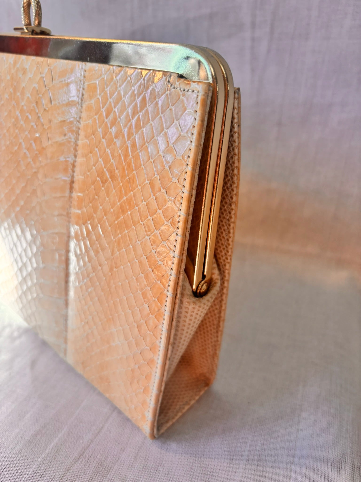 Vintage 1960s/1970s Genuine Snakeskin Clutch Bag with Gold Chain - I'd Wear That
