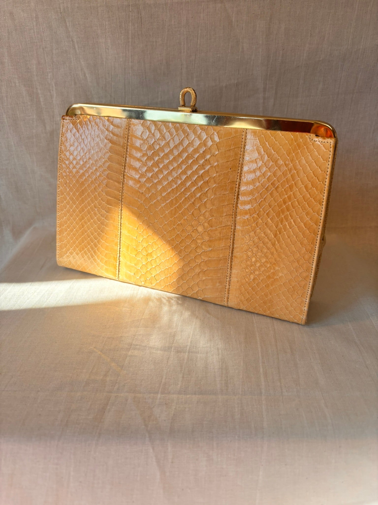 Vintage 1960s/1970s Genuine Snakeskin Clutch Bag with Gold Chain - I'd Wear That